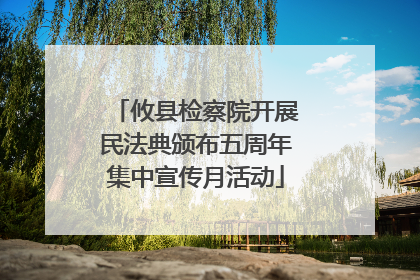 攸县检察院开展民法典颁布五周年集中宣传月活动