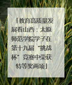 教育高质量发展看山西：太原师范学院学子在第十九届“挑战杯”竞赛中荣获特等奖两项