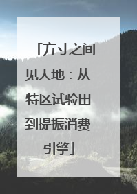方寸之间见天地：从特区试验田到提振消费引擎