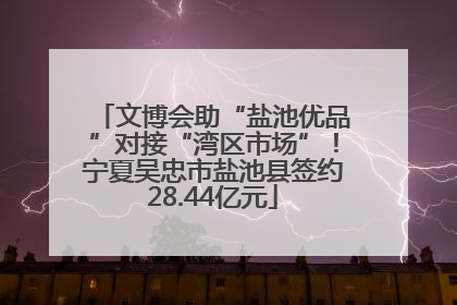 文博会助“盐池优品”对接“湾区市场”！宁夏吴忠市盐池县签约28.44亿元