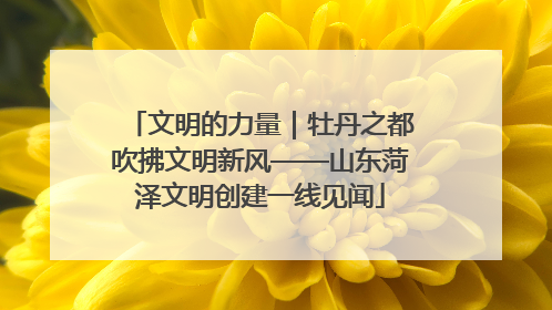 文明的力量｜牡丹之都吹拂文明新风——山东菏泽文明创建一线见闻