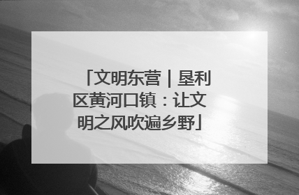 文明东营｜垦利区黄河口镇：让文明之风吹遍乡野