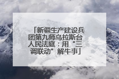 新疆生产建设兵团第九师乌拉斯台人民法庭：用“三调联动”解牛事