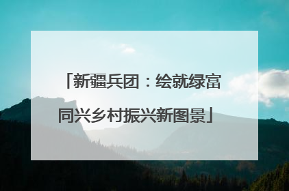 新疆兵团：绘就绿富同兴乡村振兴新图景