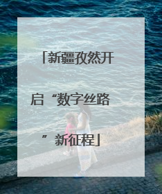 新疆孜然开启“数字丝路”新征程