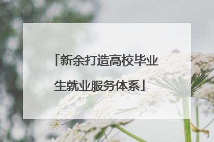 新余打造高校毕业生就业服务体系