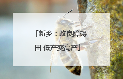 新乡：改良障碍田 低产变高产