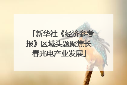 新华社《经济参考报》区域头题聚焦长春光电产业发展