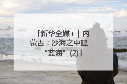 新华全媒+｜内蒙古：沙海之中建“蓝海”(2)
