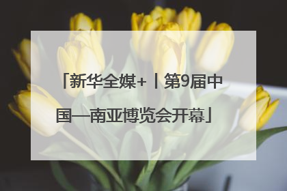 新华全媒+丨第9届中国—南亚博览会开幕
