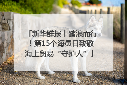 新华鲜报丨踏浪而行！第15个海员日致敬海上贸易“守护人”