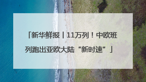 新华鲜报丨11万列！中欧班列跑出亚欧大陆“新时速”