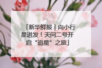 新华鲜报｜向小行星进发！天问二号开启“追星”之旅