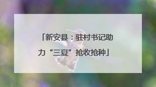 新安县：驻村书记助力“三夏”抢收抢种