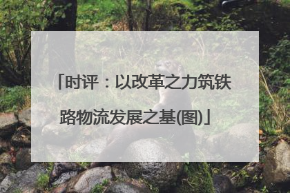 时评：以改革之力筑铁路物流发展之基(图)