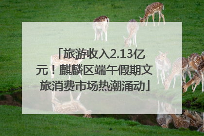 旅游收入2.13亿元！麒麟区端午假期文旅消费市场热潮涌动