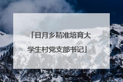 日月乡精准培育大学生村党支部书记