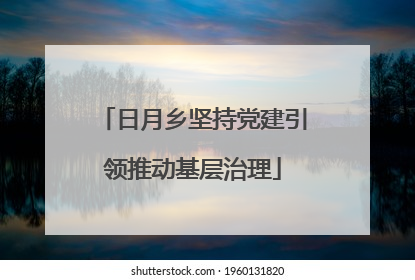 日月乡坚持党建引领推动基层治理