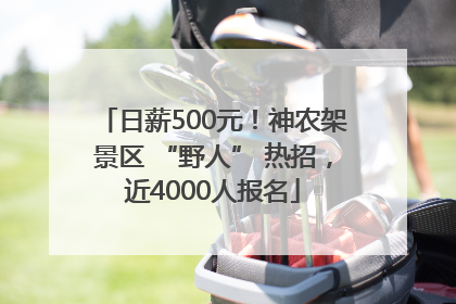 日薪500元！神农架景区 “野人” 热招，近4000人报名