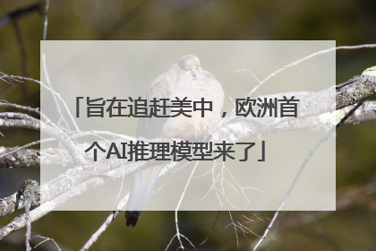 旨在追赶美中，欧洲首个AI推理模型来了