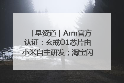早资道｜Arm官方认证：玄戒O1芯片由小米自主研发；淘宝闪购联合饿了么日订单超4000万