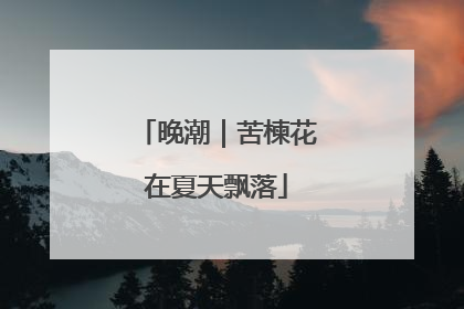晚潮｜苦楝花在夏天飘落