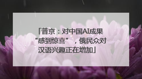 普京：对中国AI成果“感到惊喜”，俄民众对汉语兴趣正在增加