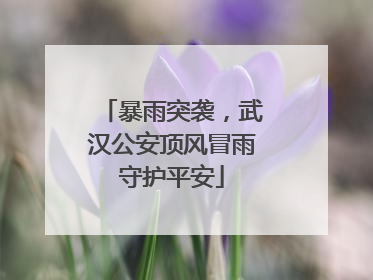 暴雨突袭，武汉公安顶风冒雨守护平安
