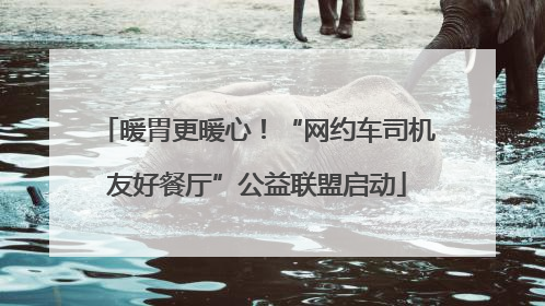 暖胃更暖心！“网约车司机友好餐厅”公益联盟启动