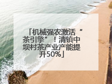 机械强农激活“茶引擎”！清镇中坝村茶产业产能提升50%