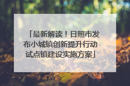 最新解读！日照市发布小城镇创新提升行动试点镇建设实施方案