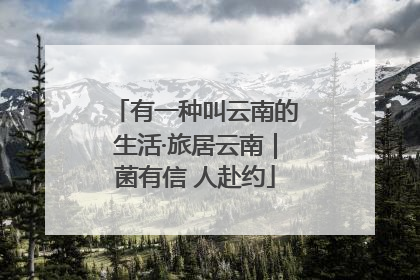 有一种叫云南的生活·旅居云南｜菌有信 人赴约