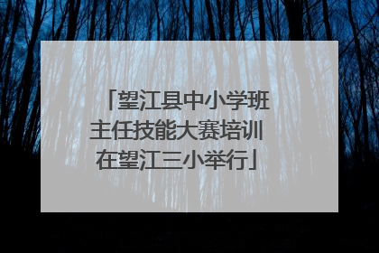 望江县中小学班主任技能大赛培训在望江三小举行