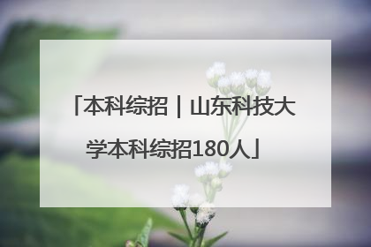 本科综招｜山东科技大学本科综招180人