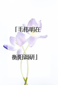 毛伟明在衡阳调研