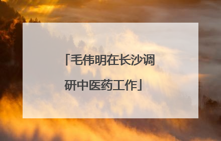 毛伟明在长沙调研中医药工作