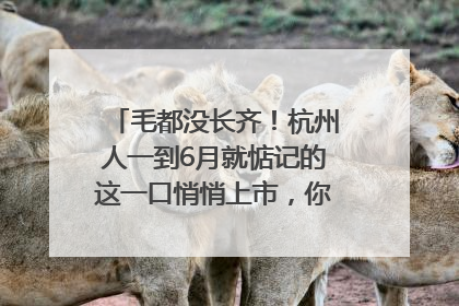 毛都没长齐！杭州人一到6月就惦记的这一口悄悄上市，你打算尝鲜吗？