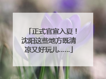 正式官宣入夏！沈阳这些地方既清凉又好玩儿……