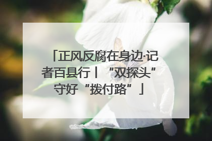 正风反腐在身边·记者百县行丨“双探头”守好“拨付路”