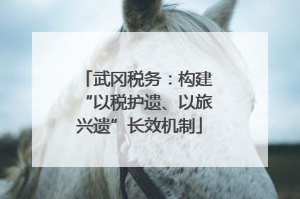 武冈税务：构建“以税护遗、以旅兴遗”长效机制
