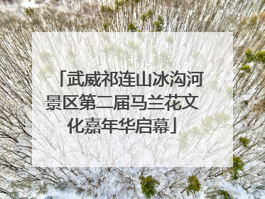 武威祁连山冰沟河景区第二届马兰花文化嘉年华启幕