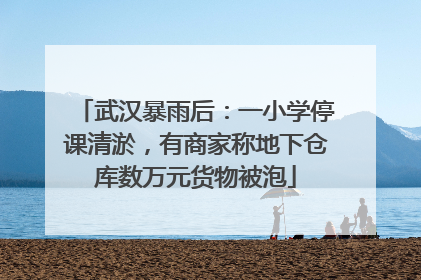 武汉暴雨后：一小学停课清淤，有商家称地下仓库数万元货物被泡