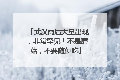 武汉雨后大量出现，非常罕见！不是蘑菇，不要随便吃