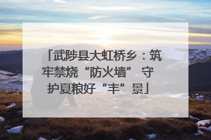 武陟县大虹桥乡：筑牢禁烧“防火墙” 守护夏粮好“丰”景
