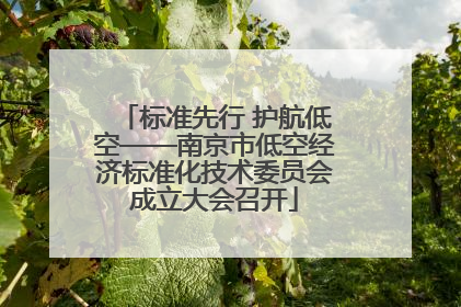 标准先行 护航低空——南京市低空经济标准化技术委员会成立大会召开