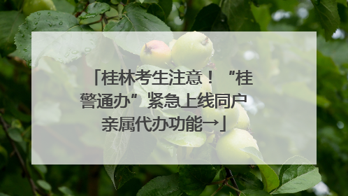 桂林考生注意！“桂警通办”紧急上线同户亲属代办功能→