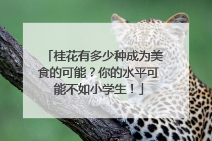 桂花有多少种成为美食的可能？你的水平可能不如小学生！
