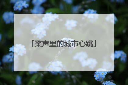 桨声里的城市心跳