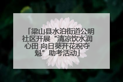 梁山县水泊街道公明社区开展“清凉饮水润心田 向日葵开花祝夺魁”助考活动