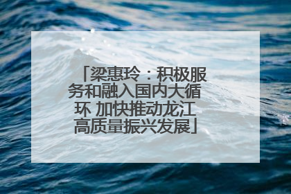 梁惠玲：积极服务和融入国内大循环 加快推动龙江高质量振兴发展